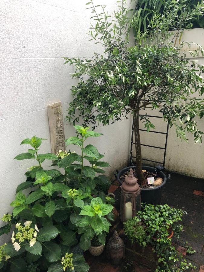 Olive Tree Apartment Hove Εξωτερικό φωτογραφία