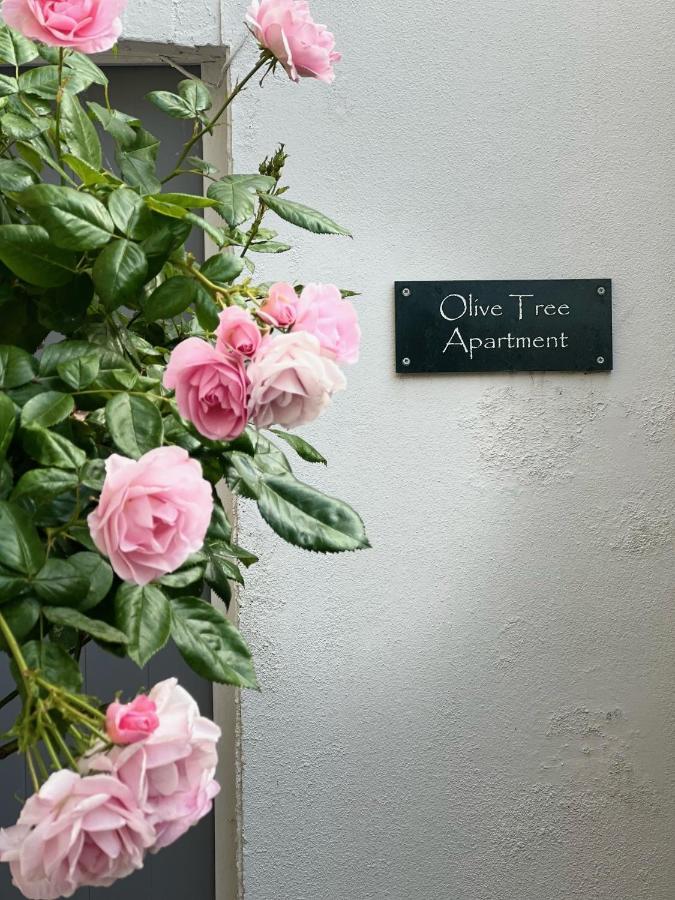 Olive Tree Apartment Hove Εξωτερικό φωτογραφία
