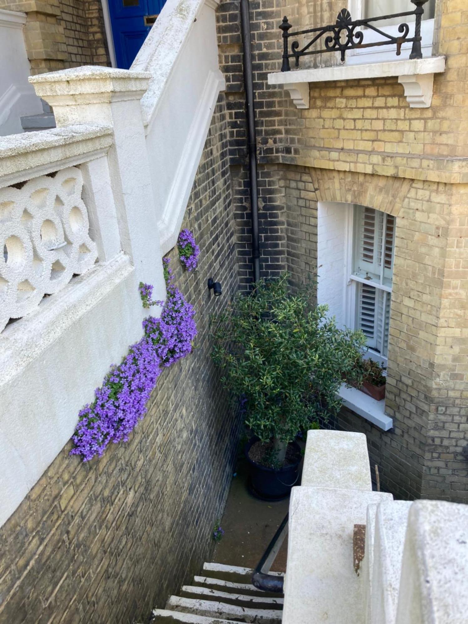 Olive Tree Apartment Hove Δωμάτιο φωτογραφία